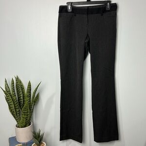 Express Editor Dark Charcoal Pants Size 6